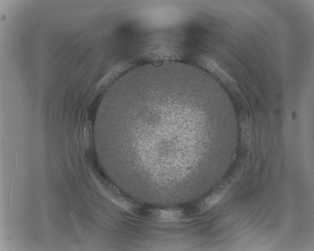 X0000074230165200609011251