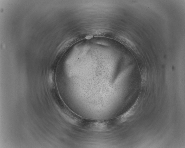 X0000074230166200609011251