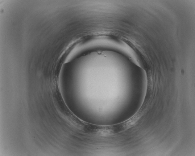 X0000074230168200609011251