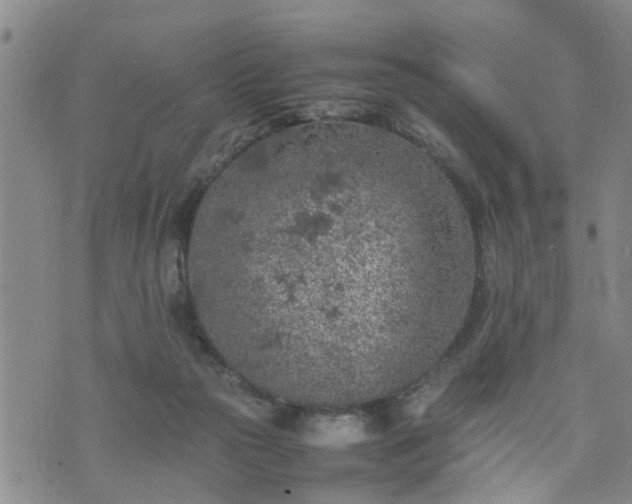 X0000074230169200609011251