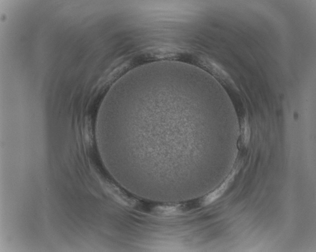 X0000074230170200609011251