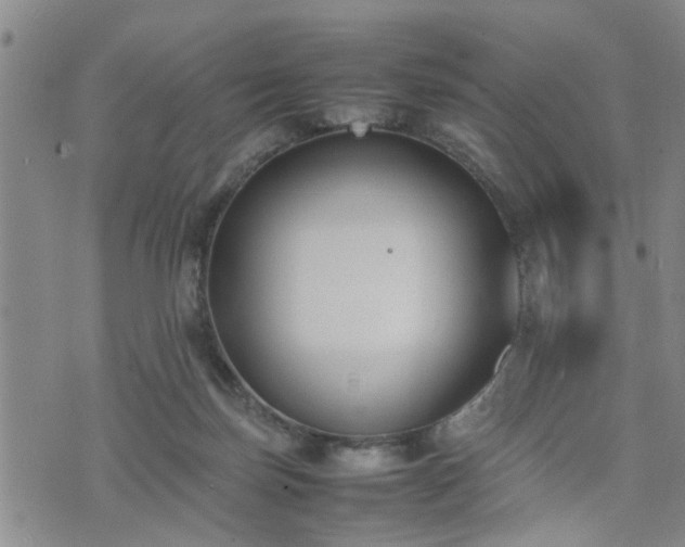 X0000074230171200609011251