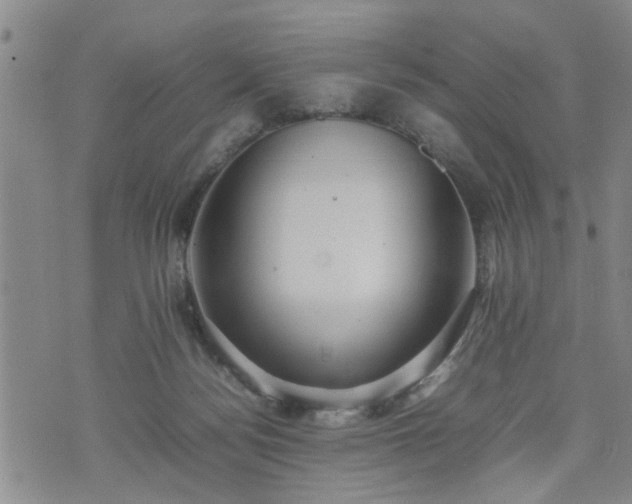 X0000074230172200609011251