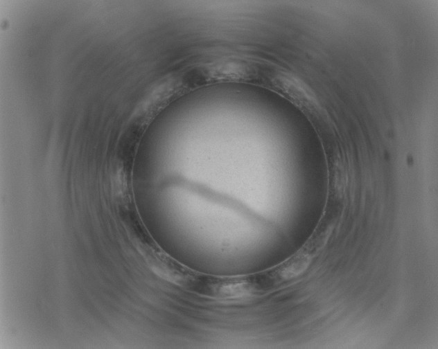 X0000074230173200609011251