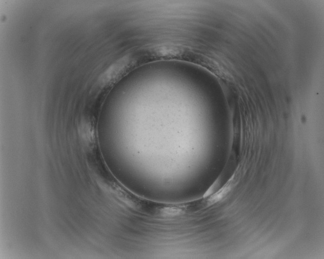 X0000074230176200609011251