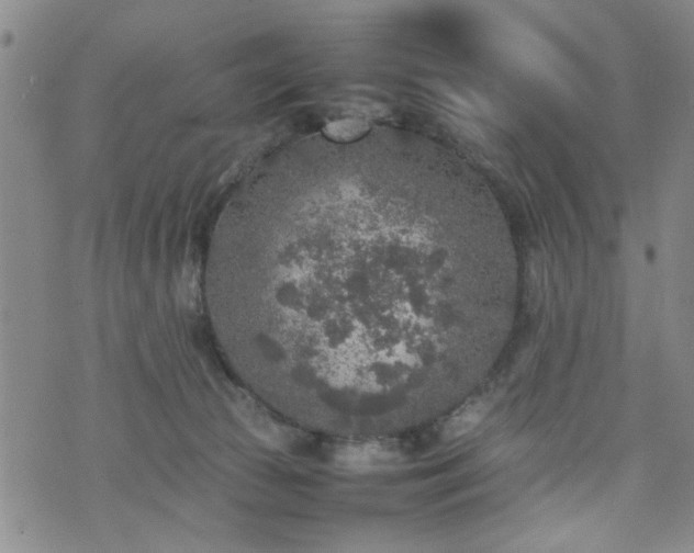 X0000074230177200609011251