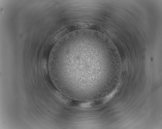 X0000074230178200609011251