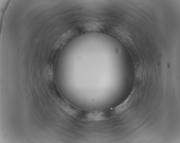 X0000074230179200609011251