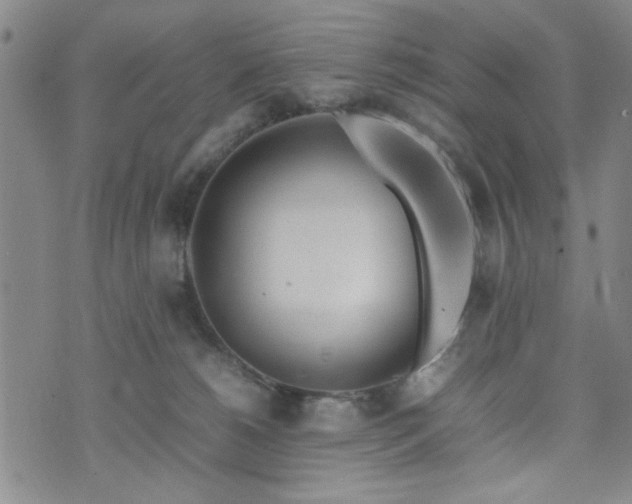 X0000074230180200609011251