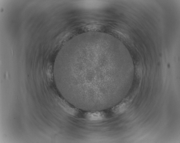 X0000074230181200609011251