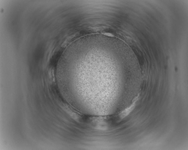 X0000074230182200609011251