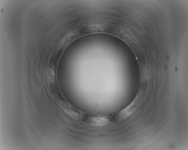 X0000074230183200609011251