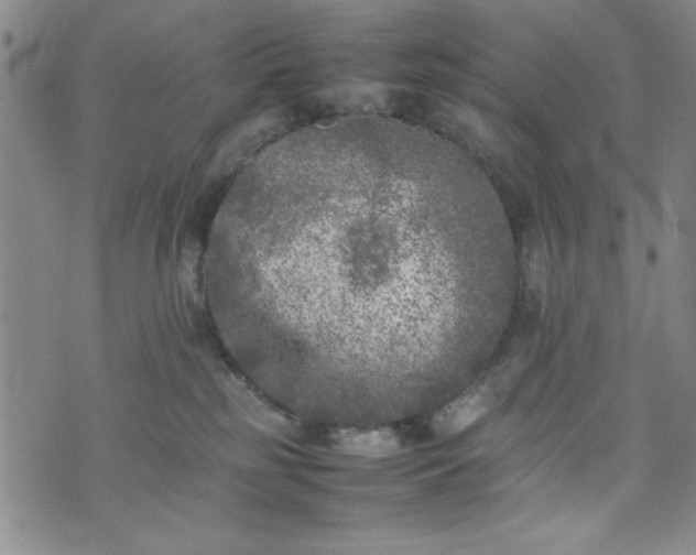 X0000074230185200609011251