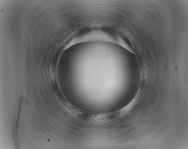 X0000074230186200609011251