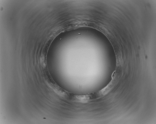 X0000074230187200609011251