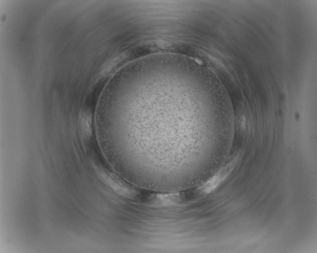 X0000074230188200609011251