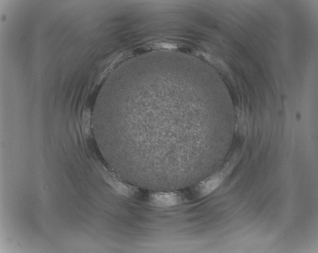 X0000074230189200609011251