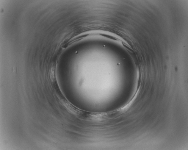 X0000074230190200609011251