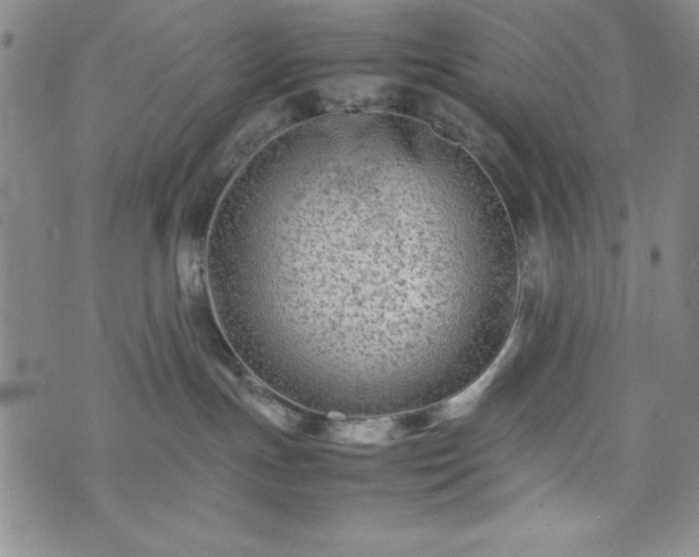 X0000074230191200609011251