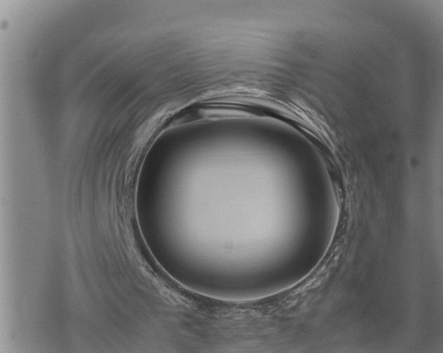 X0000074230193200609011250