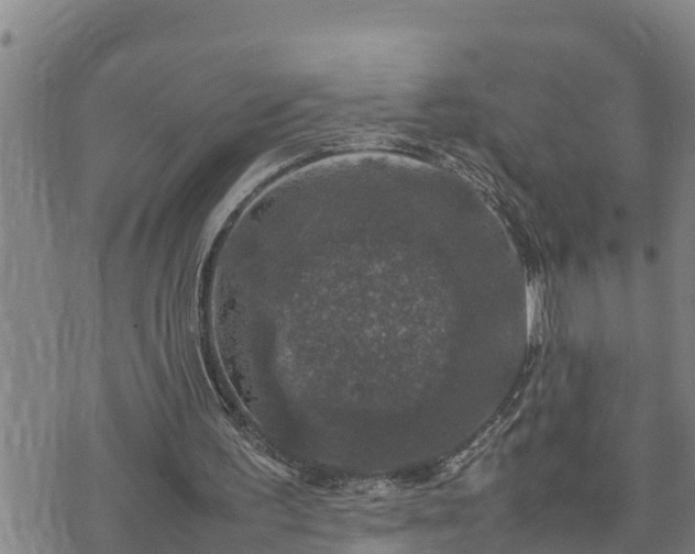 X0000074230195200609011250