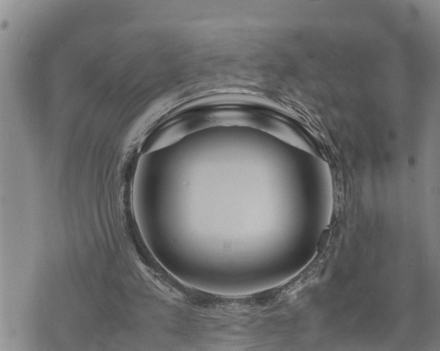 X0000074230197200609011250