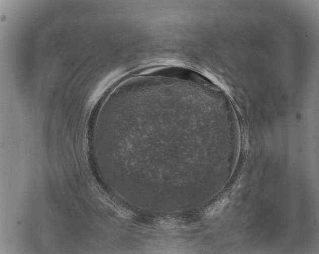 X0000074230199200609011250