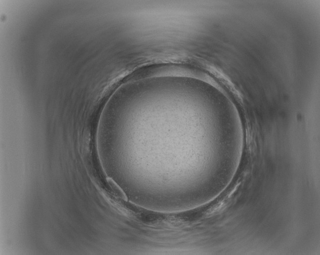 X0000074230201200609011250