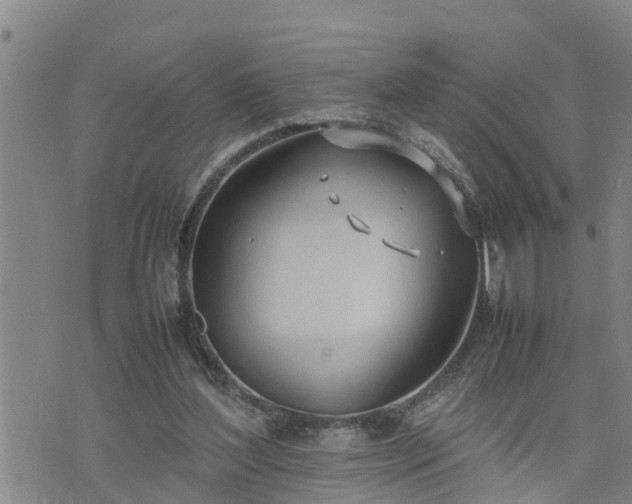 X0000074230204200609011250