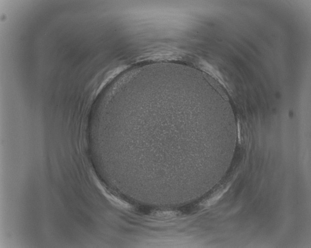 X0000074230205200609011250