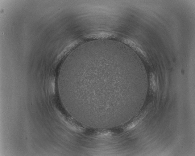 X0000074230206200609011250