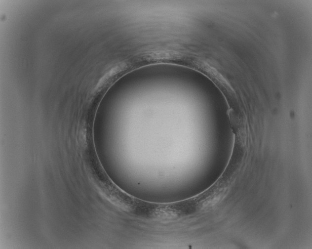 X0000074230207200609011250