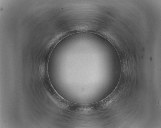 X0000074230208200609011250