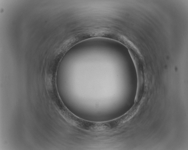 X0000074230209200609011250