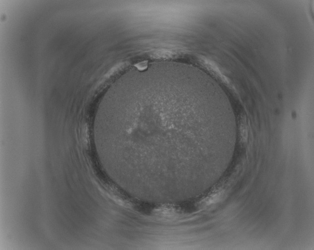 X0000074230211200609011250