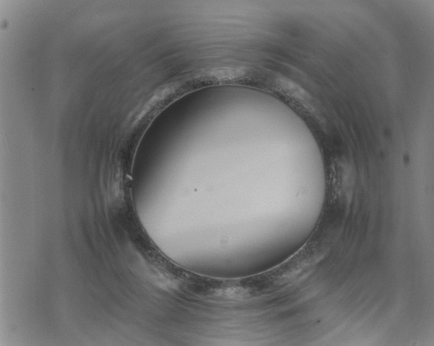 X0000074230212200609011250