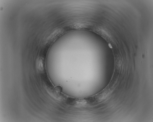 X0000074230214200609011250