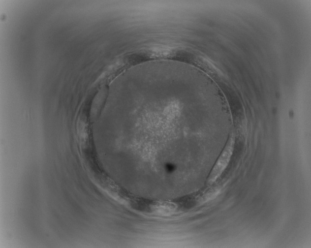 X0000074230215200609011250