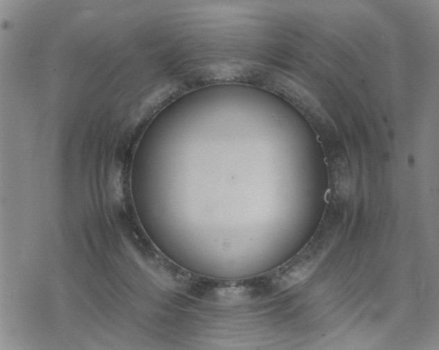 X0000074230216200609011250