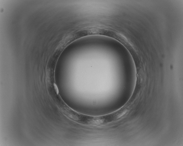 X0000074230217200609011250