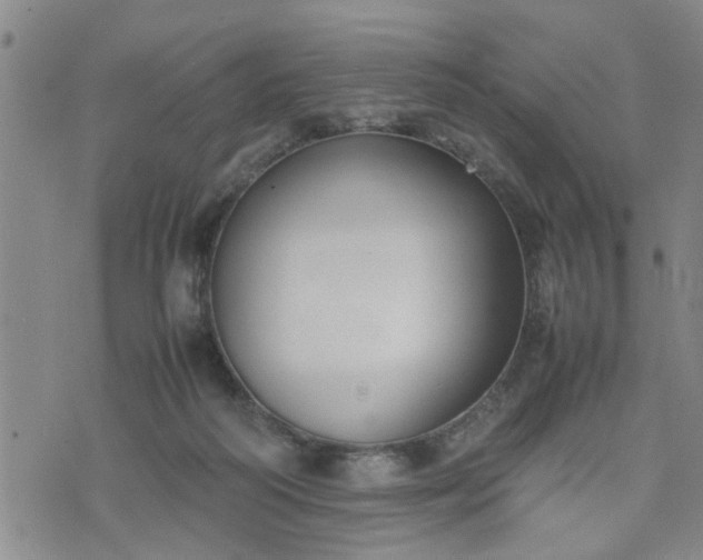 X0000074230218200609011250