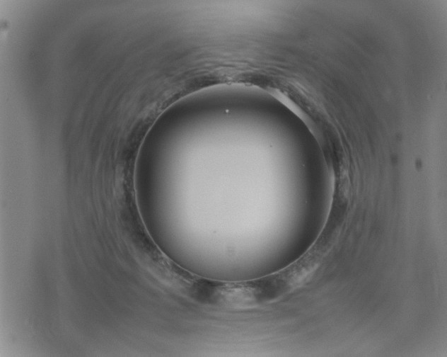 X0000074230221200609011250