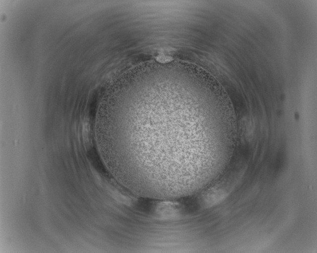 X0000074230222200609011250