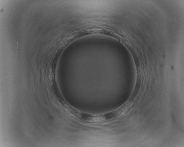 X0000074230223200609011250