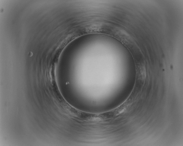 X0000074230224200609011250