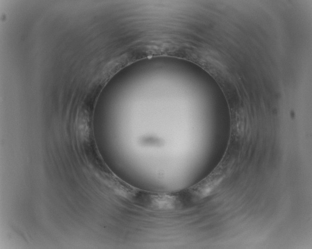 X0000074230226200609011250