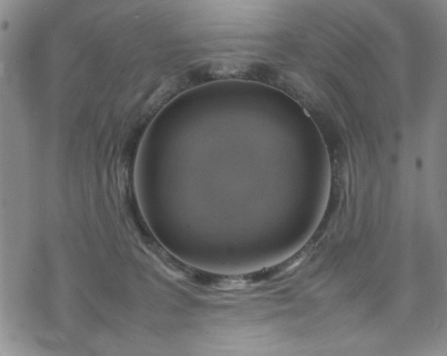 X0000074230227200609011250