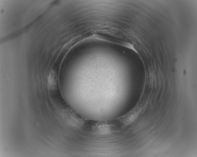 X0000074230228200609011250