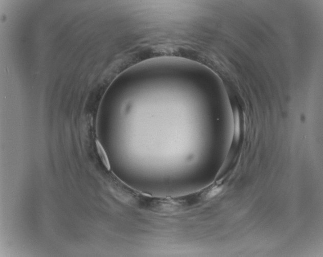 X0000074230229200609011249