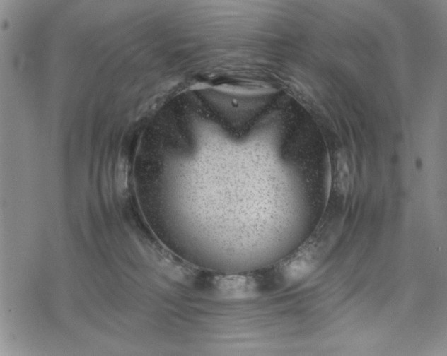 X0000074230230200609011249